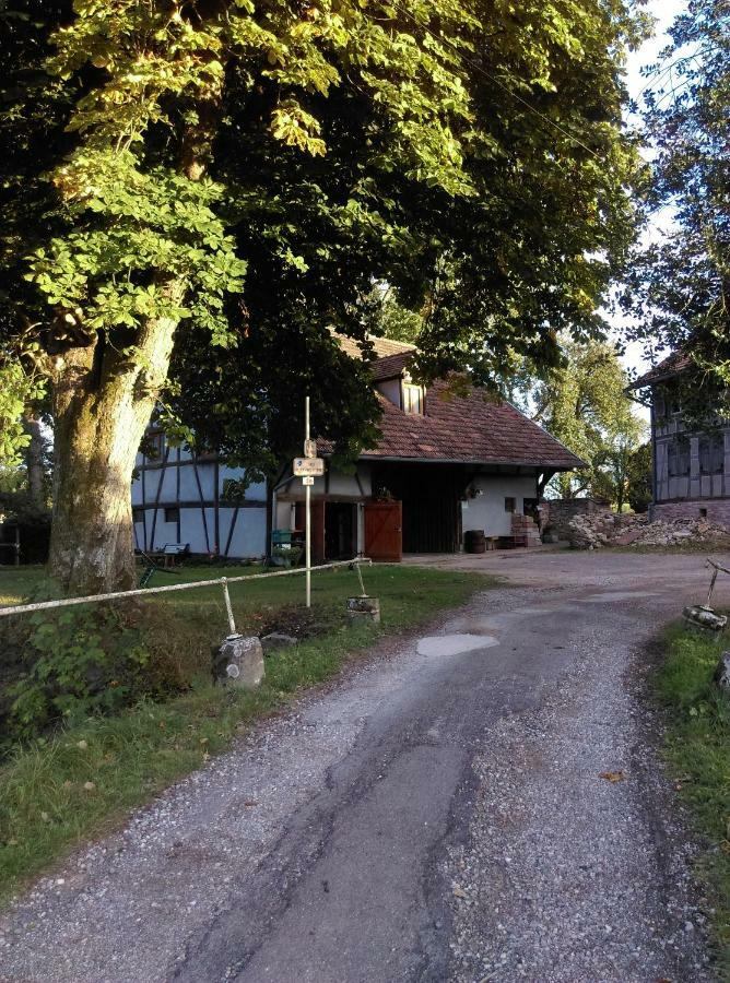Gite De Peupliers Valdieu Kültér fotó
